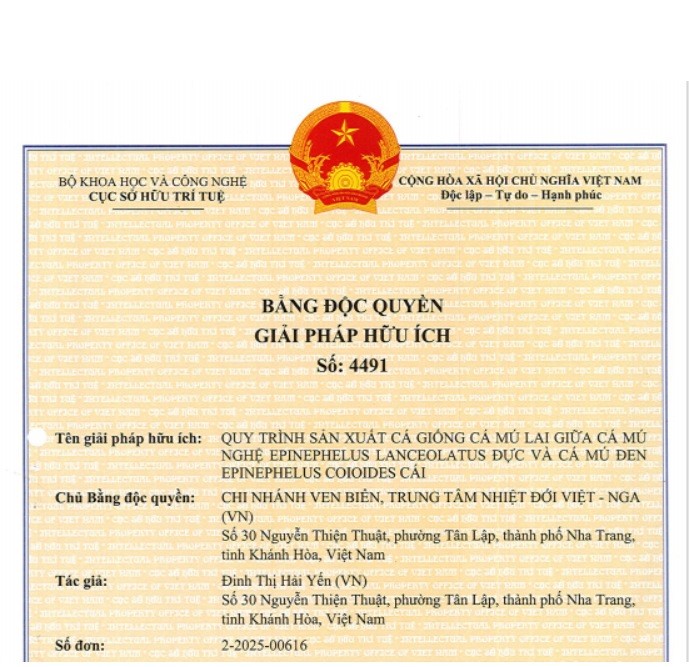 Chi nhánh Ven biển nhận Bằng độc quyền Giải pháp hữu ích cho quy trình sản xuất cá giống cá mú lai