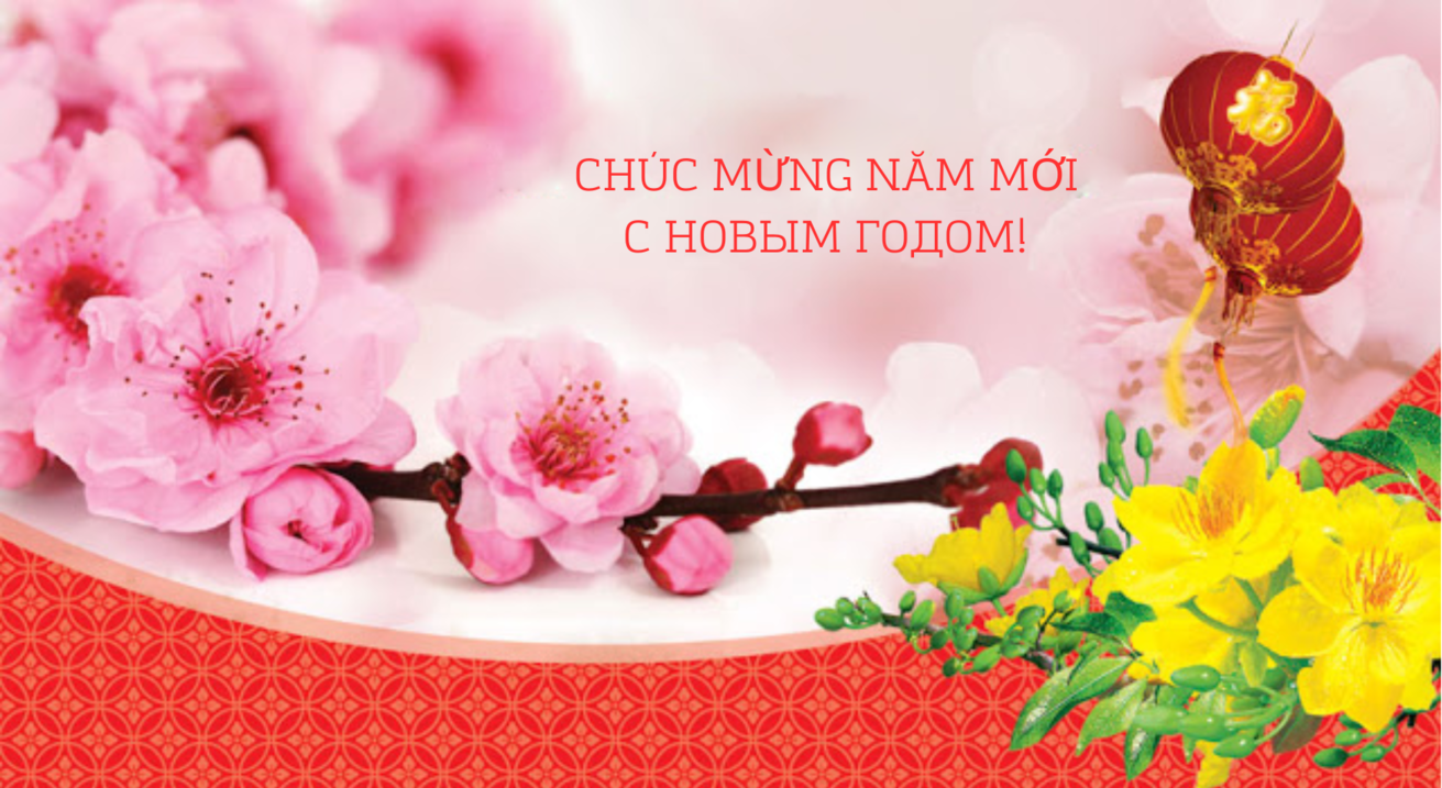 Thư chúc Tết Giáp Thìn 2024 của Thứ trưởng Bộ Quốc phòng Hoàng Xuân Chiến