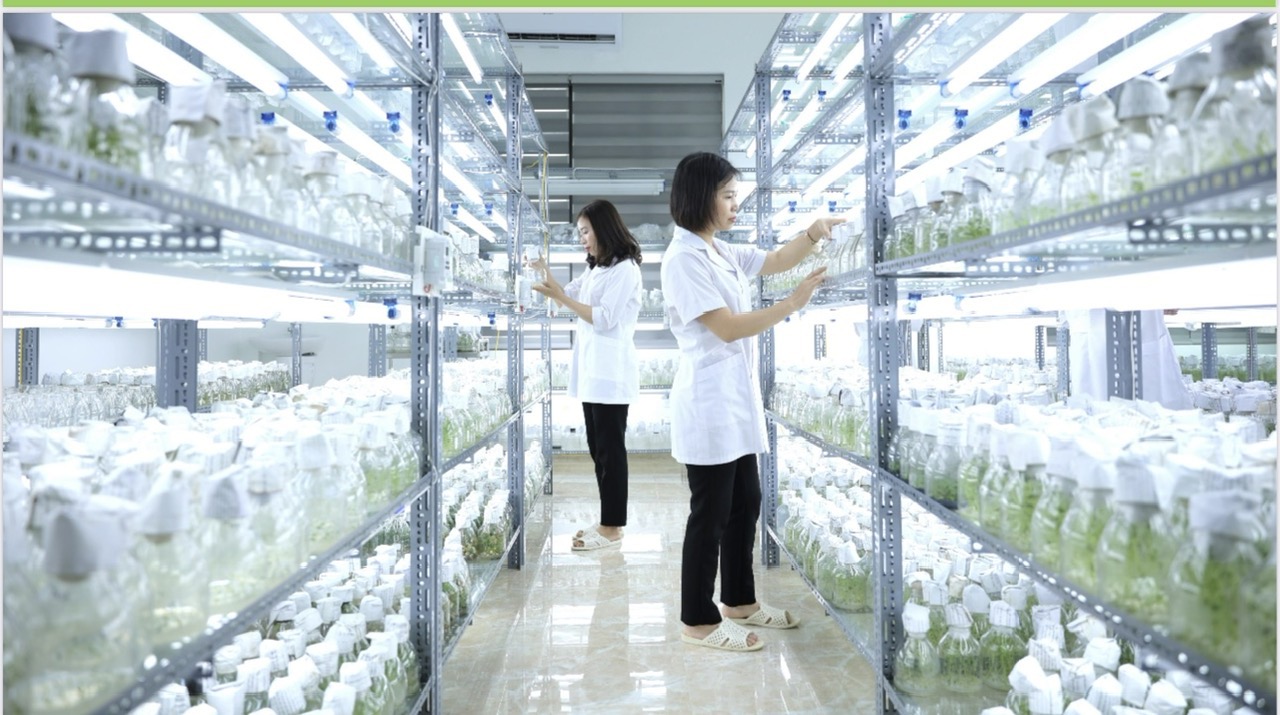 Các mô hình doanh nghiệp khoa học và công nghệ hình thành từ tổ chức khoa học và công nghệ công lập - Kỳ 4